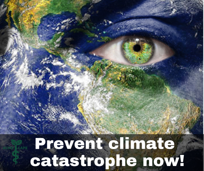 Prevent Climate Catastrophe Now